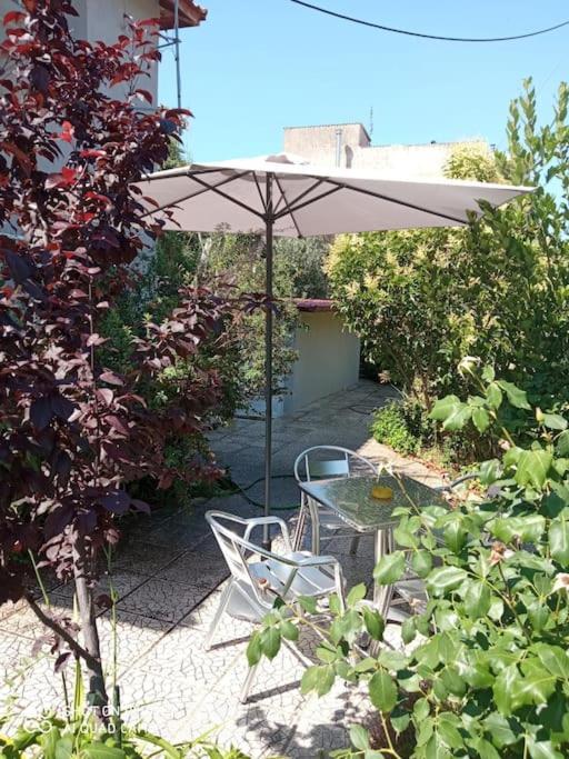 알렉산드로폴리스 Anadora 2: Hospitable Stone House With Yard 아파트 외부 사진