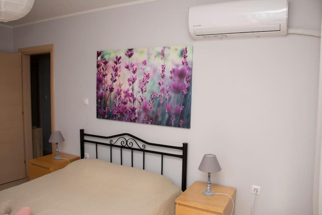 알렉산드로폴리스 Anadora 2: Hospitable Stone House With Yard 아파트 외부 사진
