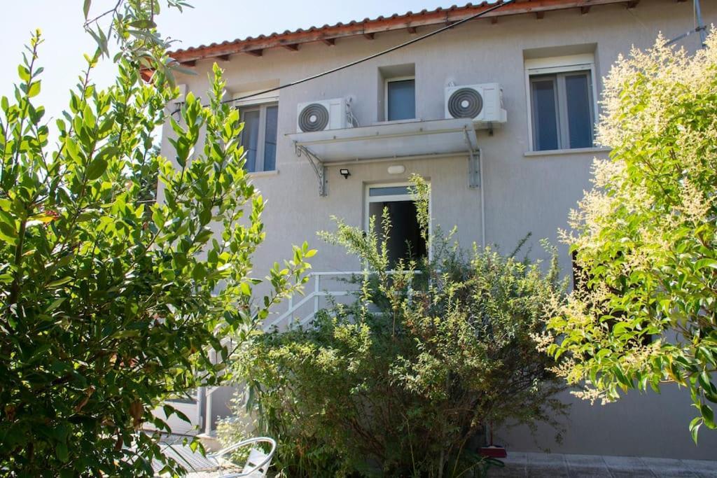 알렉산드로폴리스 Anadora 2: Hospitable Stone House With Yard 아파트 외부 사진