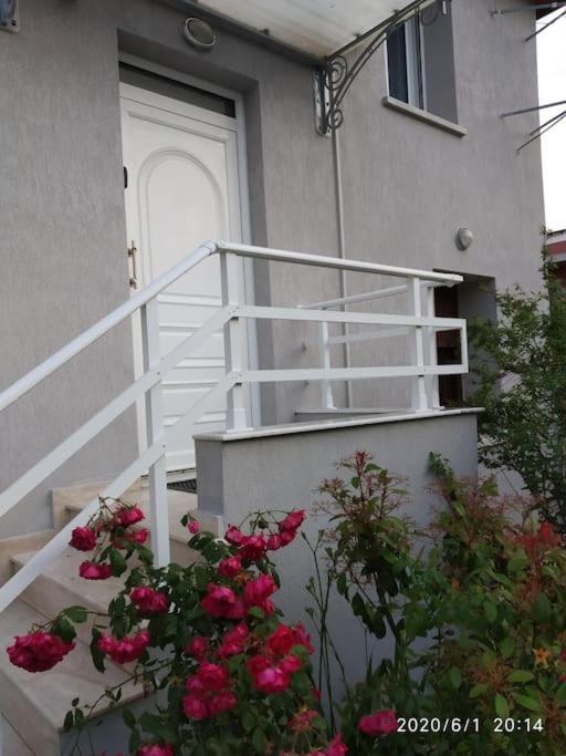 알렉산드로폴리스 Anadora 2: Hospitable Stone House With Yard 아파트 외부 사진