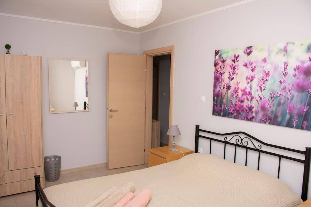 알렉산드로폴리스 Anadora 2: Hospitable Stone House With Yard 아파트 외부 사진